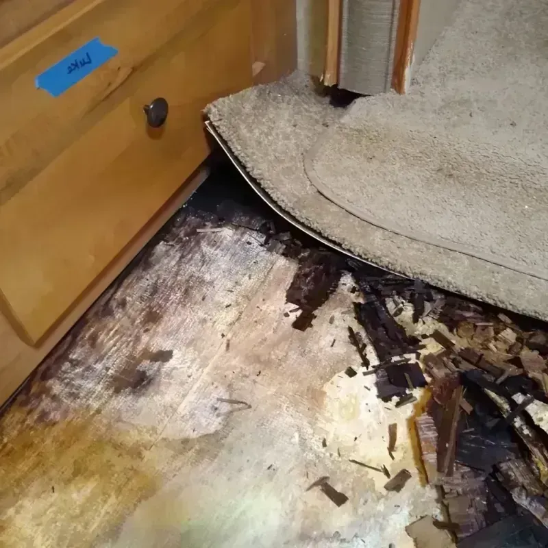 Wood Floor Water Damage in Cherokee, OK